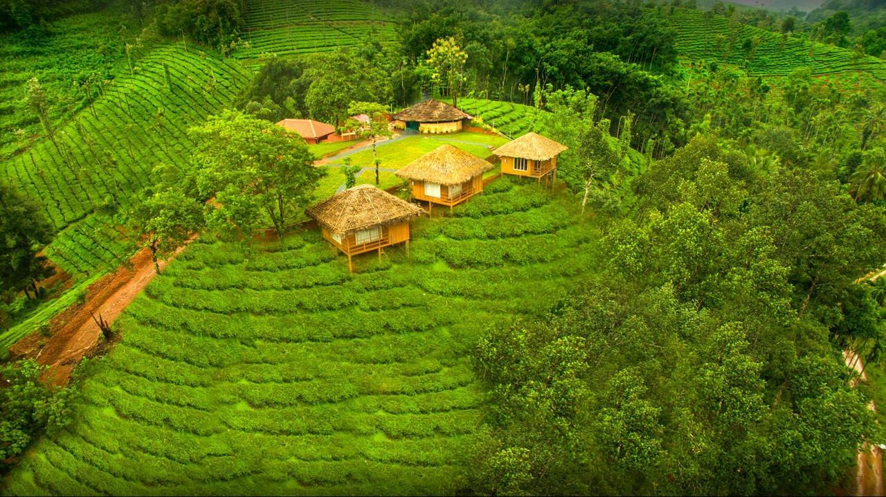 Oxyfarm Resorts Wayanad Dış mekan fotoğraf
