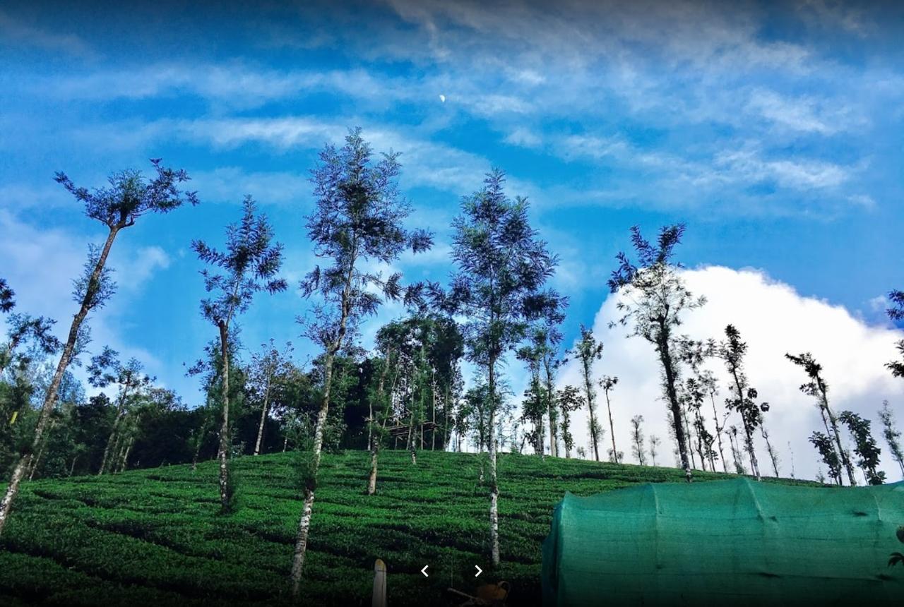 Oxyfarm Resorts Wayanad Dış mekan fotoğraf